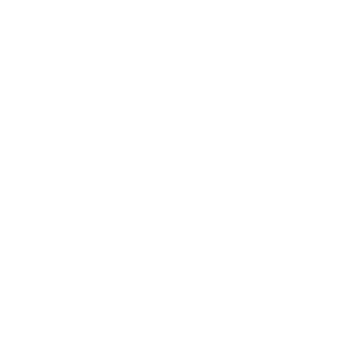 VICE